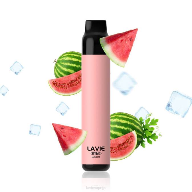 豊かな氷 LAVIE BAR 5000 パフ - 最大 260P277 | Lavie Japan